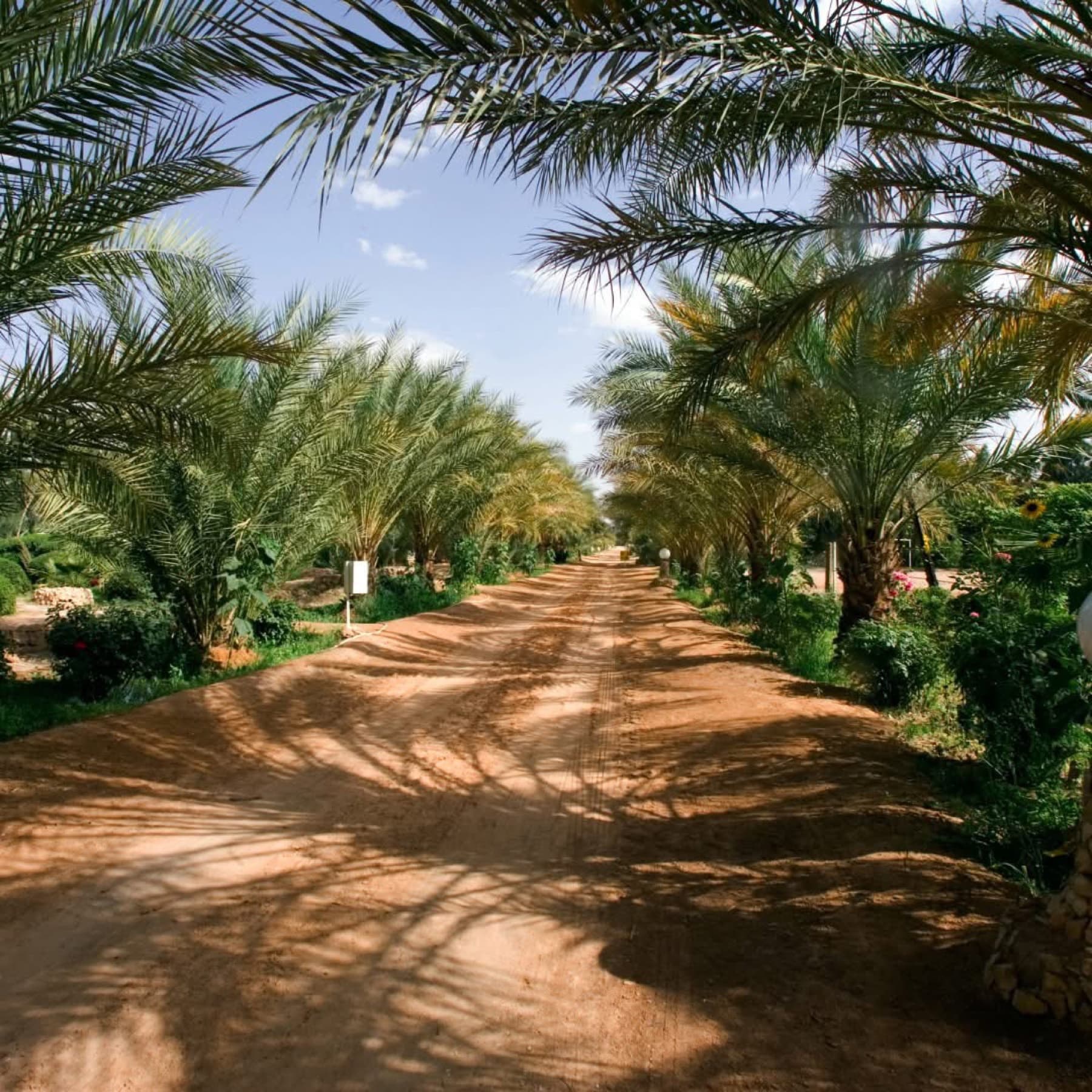 Éco-Parc Maata Moulana